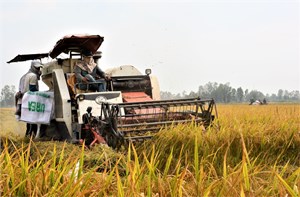 Bài 1 Loạt bài 